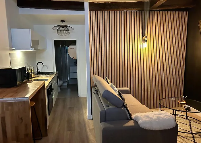 Le Petit Niortais - Centre - Wifi - Netflix - Amazon Daire *
